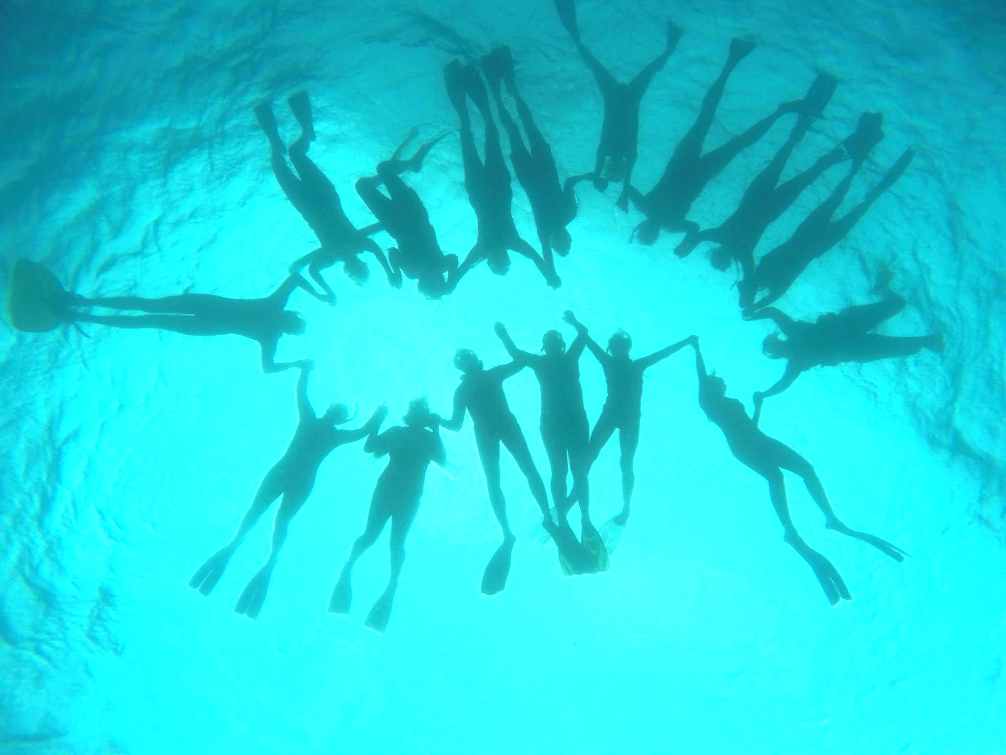 A community of swimmers forming a circle in clear ocean water